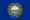 New Hampshire flag